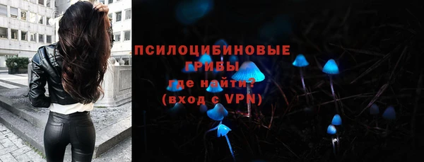 шишки Алексин