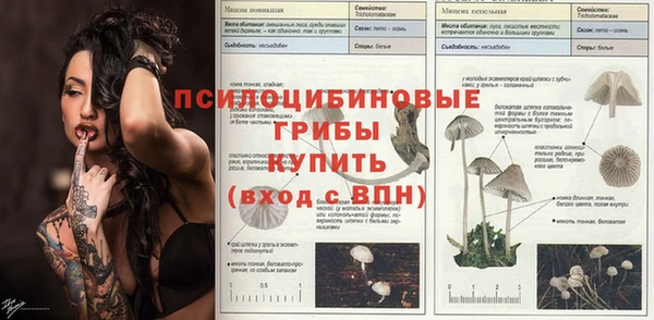 соль курить ск Алексеевка