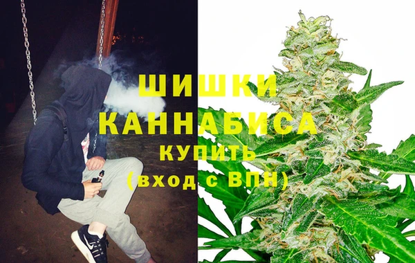 шишки Алексин